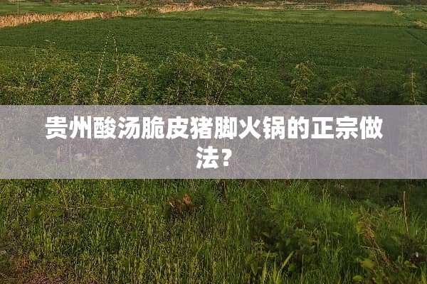 贵州酸汤脆皮猪脚火锅的正宗做法？