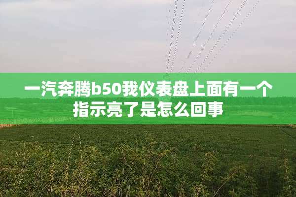 一汽奔腾b50我仪表盘上面有一个指示亮了是怎么回事