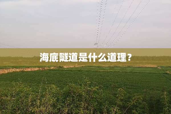 海底隧道是什么道理？