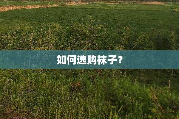 如何选购袜子？