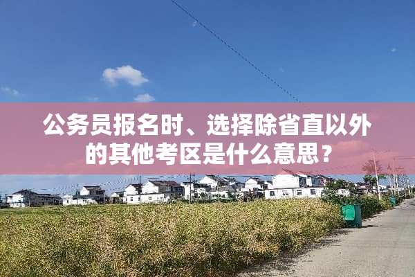 公务员报名时、选择除省直以外的其他考区是什么意思？