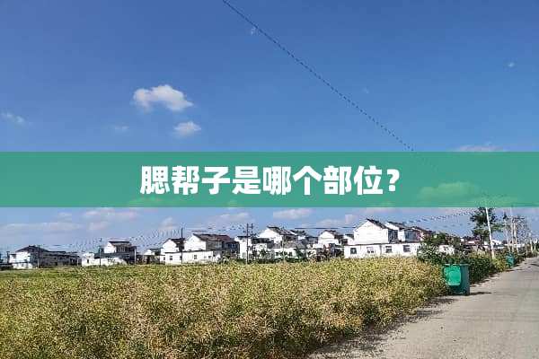 腮帮子是哪个部位？