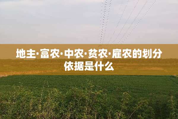 地主·富农·中农·贫农·雇农的划分依据是什么