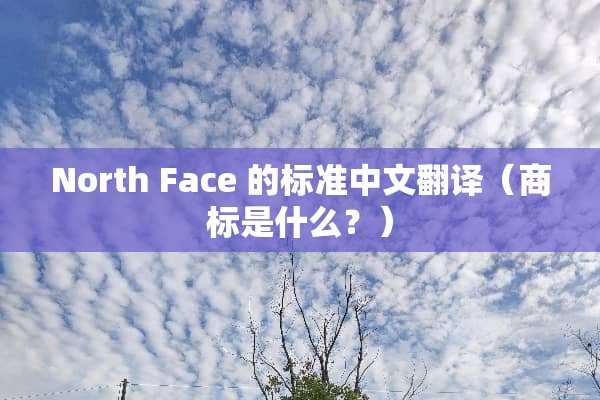 North Face 的标准中文翻译（商标是什么？）