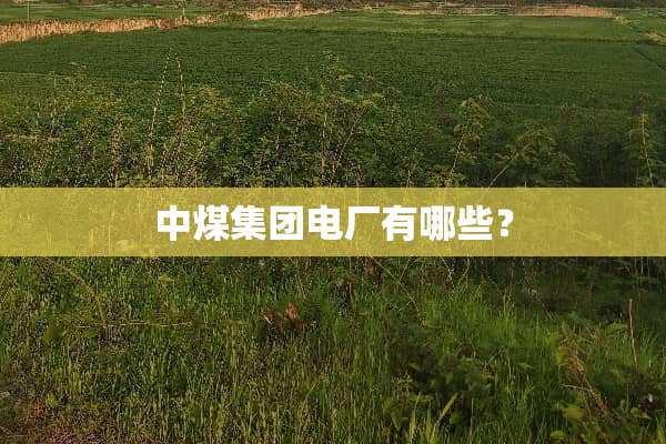 中煤集团电厂有哪些？