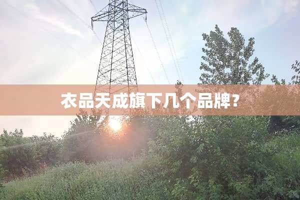 衣品天成旗下几个品牌？