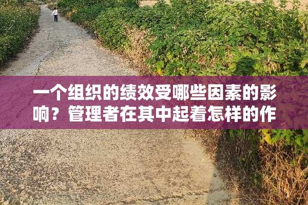 一个组织的绩效受哪些因素的影响？管理者在其中起着怎样的作用？