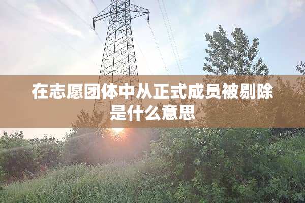 在志愿团体中从正式成员被剔除是什么意思