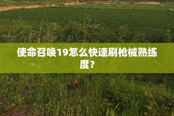 使命召唤19怎么快速刷*械熟练度？