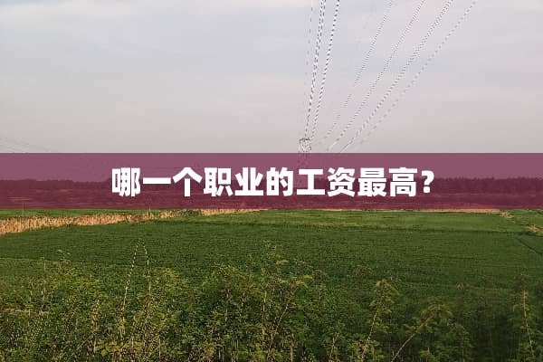 哪一个职业的工资最高？