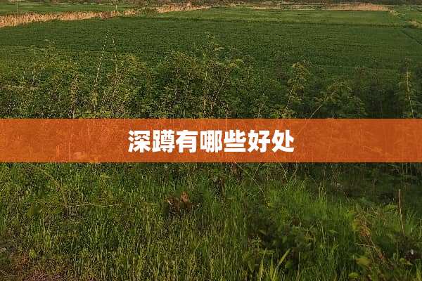 深蹲有哪些好处