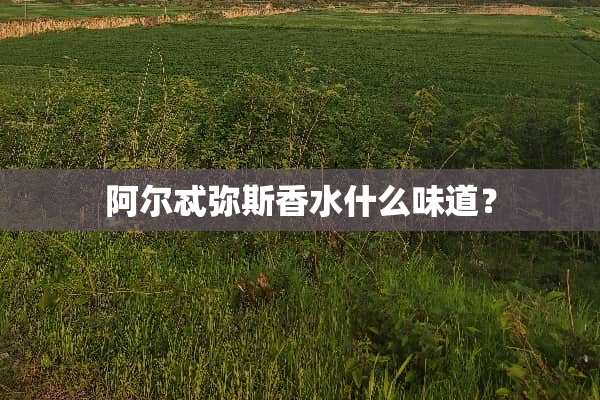 阿尔忒弥斯香水什么味道？