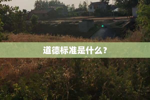道德标准是什么？