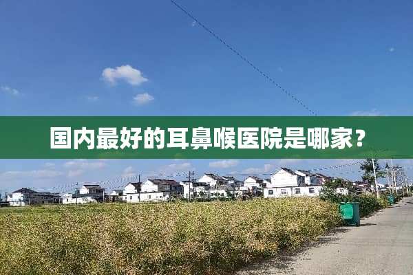 国内最好的耳鼻喉医院是哪家？