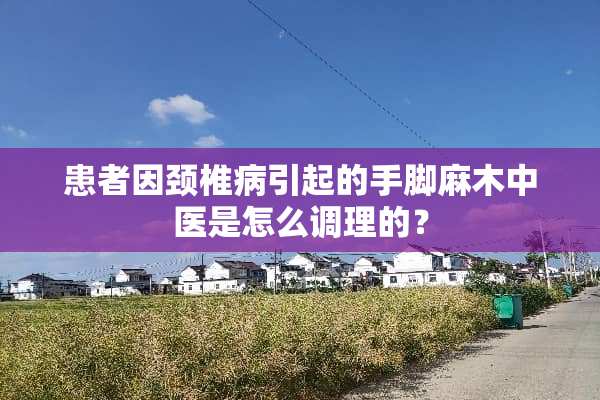 患者因***引起的手脚麻木中医是怎么调理的？
