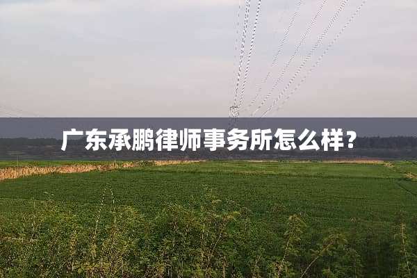 广东承鹏律师事务所怎么样？
