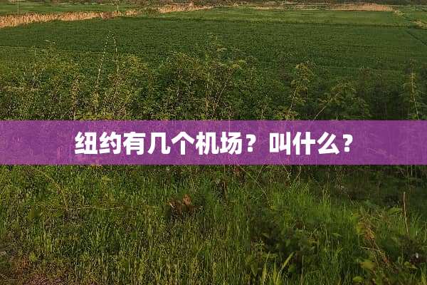 纽约有几个机场？叫什么？