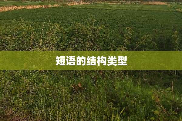 短语的结构类型