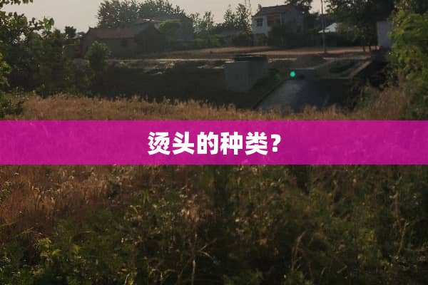 烫头的种类？