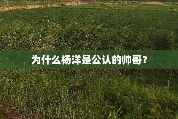为什么杨洋是公认的帅哥？