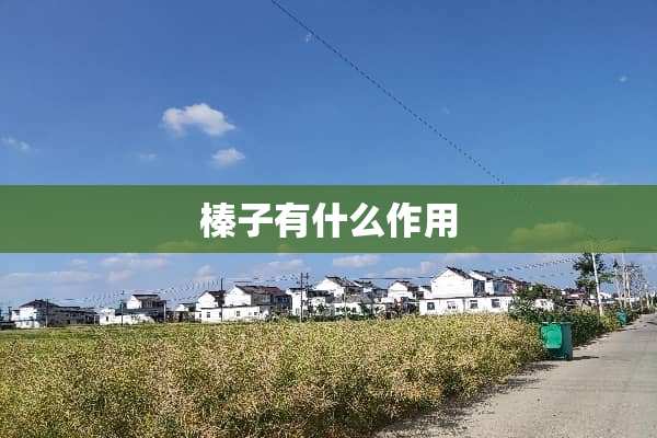 榛子有什么作用