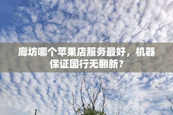 廊坊哪个苹果店服务最好，机器保证国行无翻新？