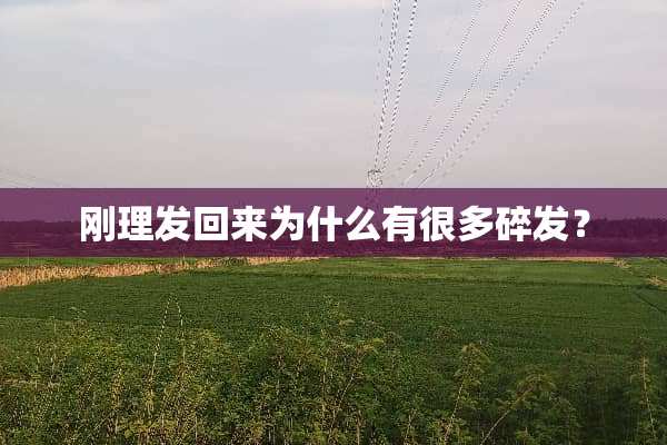 刚理发回来为什么有很多碎发？