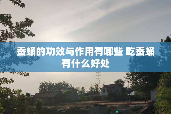 蚕蛹的功效与作用有哪些 吃蚕蛹有什么好处
