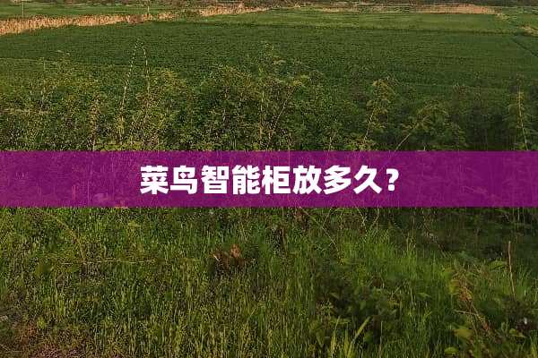 菜鸟智能柜放多久？