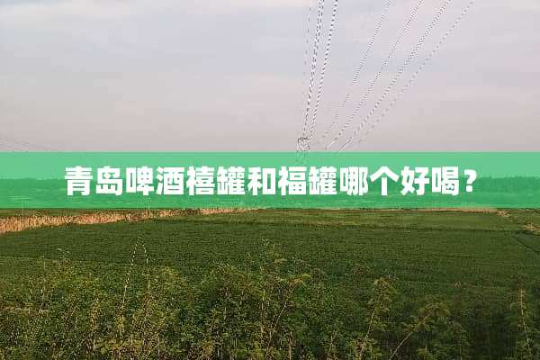 青岛啤酒禧罐和福罐哪个好喝？