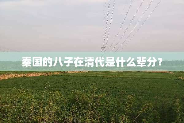 秦国的八子在清代是什么辈分？