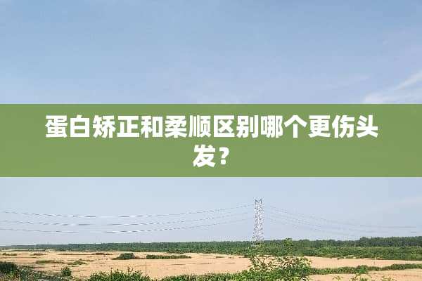 蛋白矫正和柔顺区别哪个更伤头发？