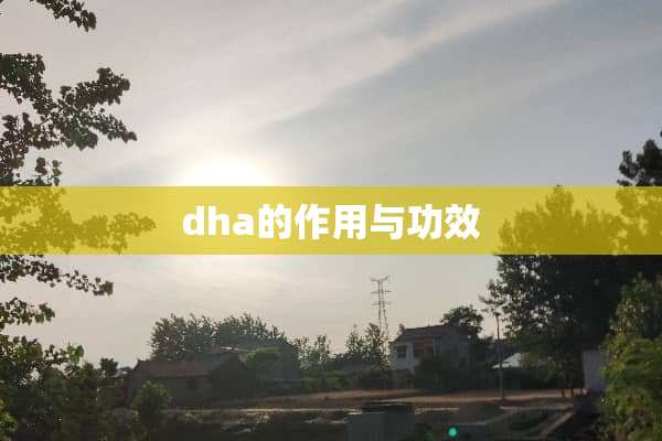 dha的作用与功效