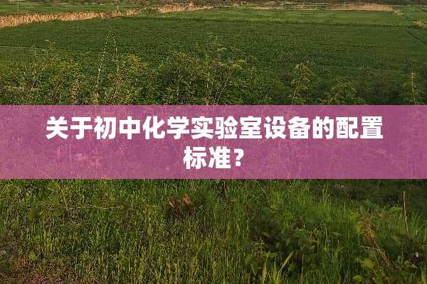 关于初中化学实验室设备的配置标准？