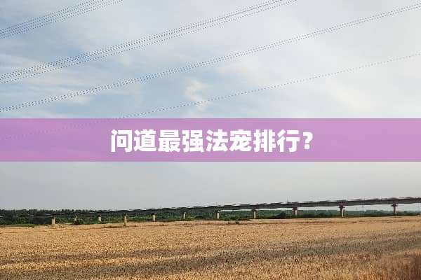 问道最强法宠排行？