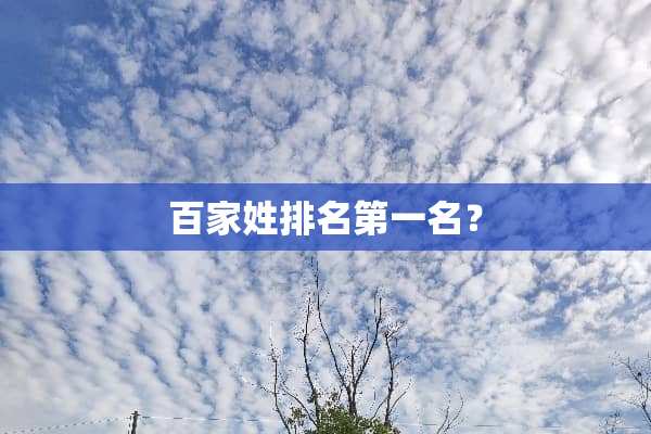 百家姓排名第一名？