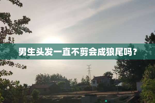 男生头发一直不剪会成狼尾吗？