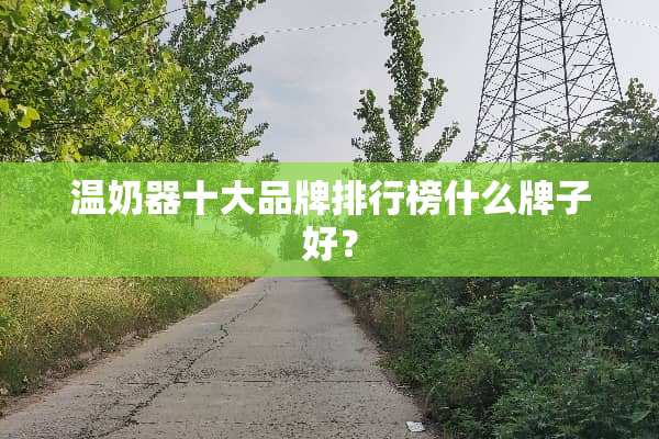 温奶器十大品牌排行榜什么牌子好？