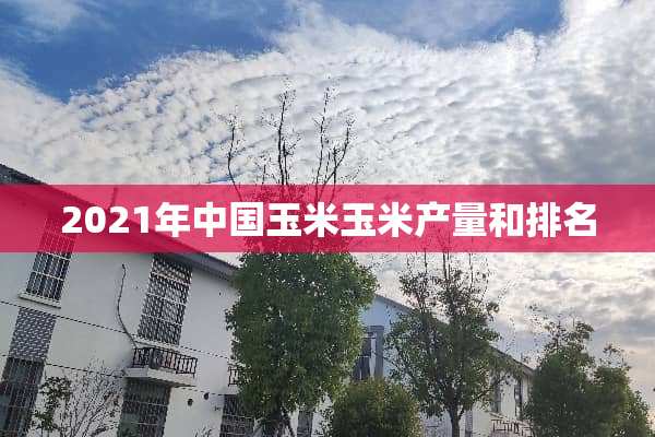 2021年中国玉米玉米产量和排名