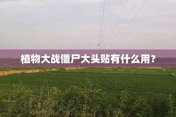 植物大战僵尸大头贴有什么用？