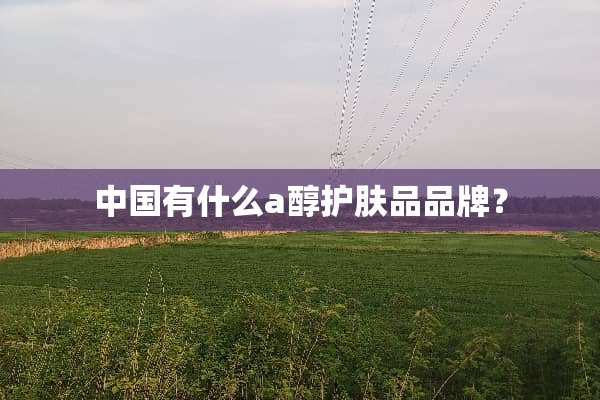 中国有什么a醇护肤品品牌？