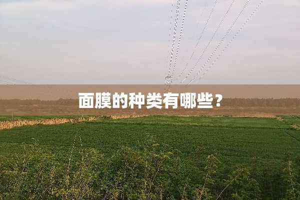 面膜的种类有哪些？