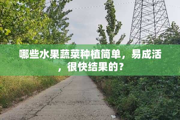 哪些水果蔬菜种植简单，易成活，很快结果的？
