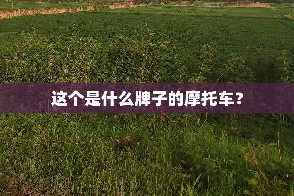 这个是什么牌子的摩托车？