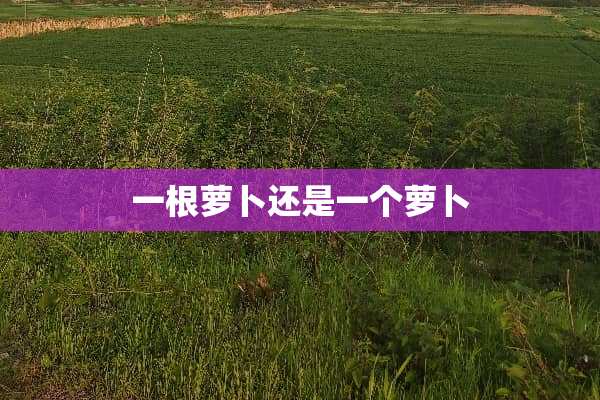 一根萝卜还是一个萝卜