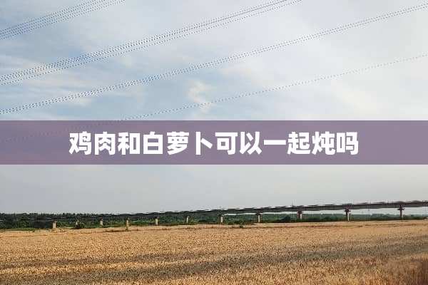 鸡肉和白萝卜可以一起炖吗