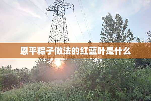 恩平粽子做法的红蓝叶是什么