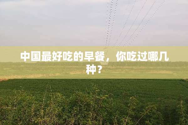 中国最好吃的早餐，你吃过哪几种？
