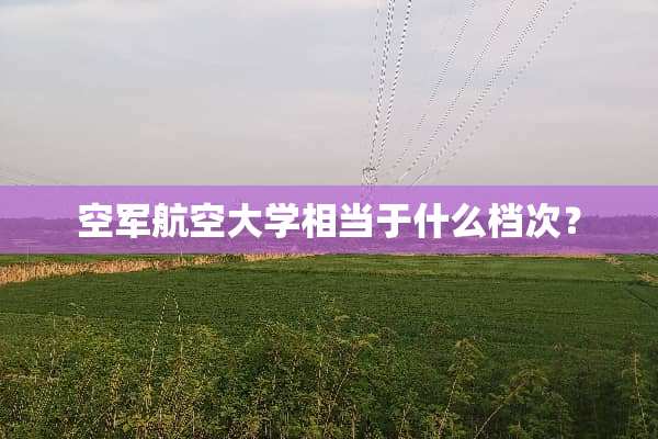 空军航空大学相当于什么档次？
