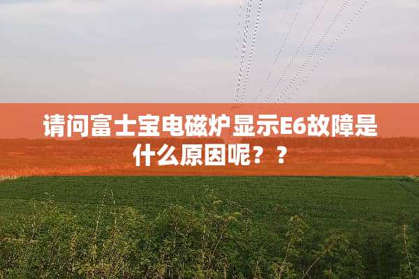 请问富士宝电磁炉显示E6故障是什么原因呢？？